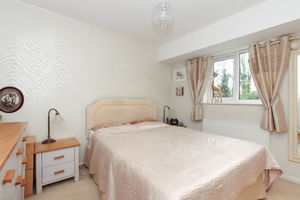 Photo 13- click for photo gallery